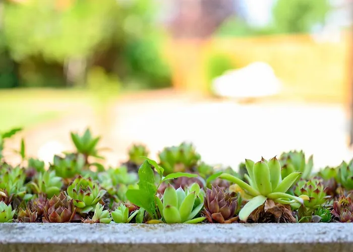 La Maison Du Calme *